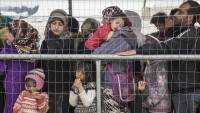 Iraq says 275 nationals stranded on Lithuanian-Belarusian border