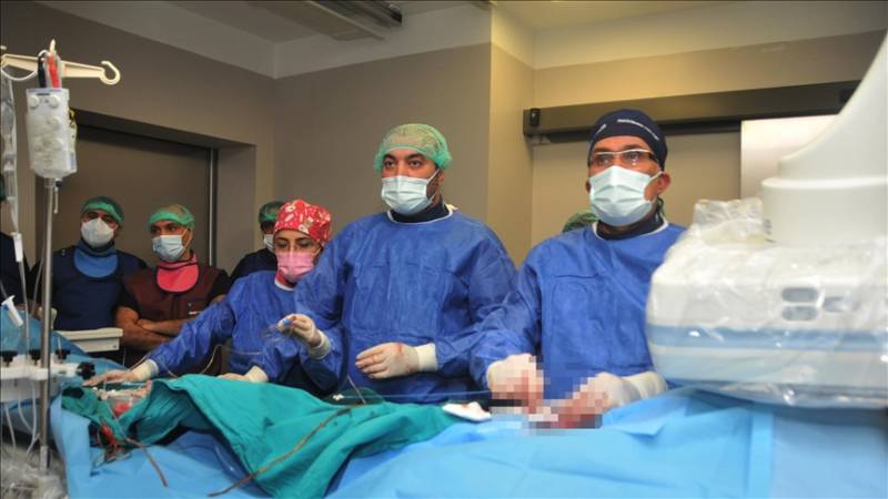 Iranian doctors receive heart valve replacement training in Turkey
