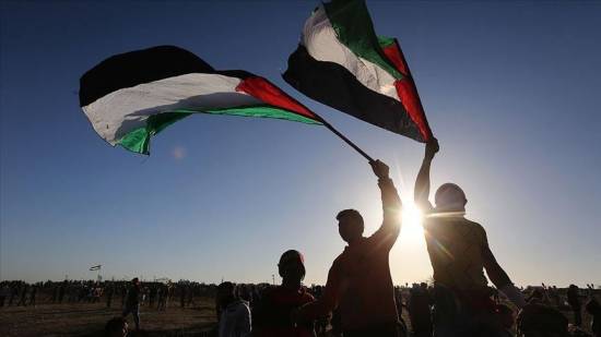 International solidarity with Palestine continues after truce