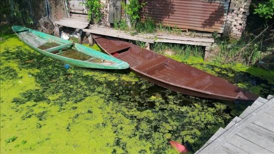 Kashmir&#039;s waterbodies gasping for breath