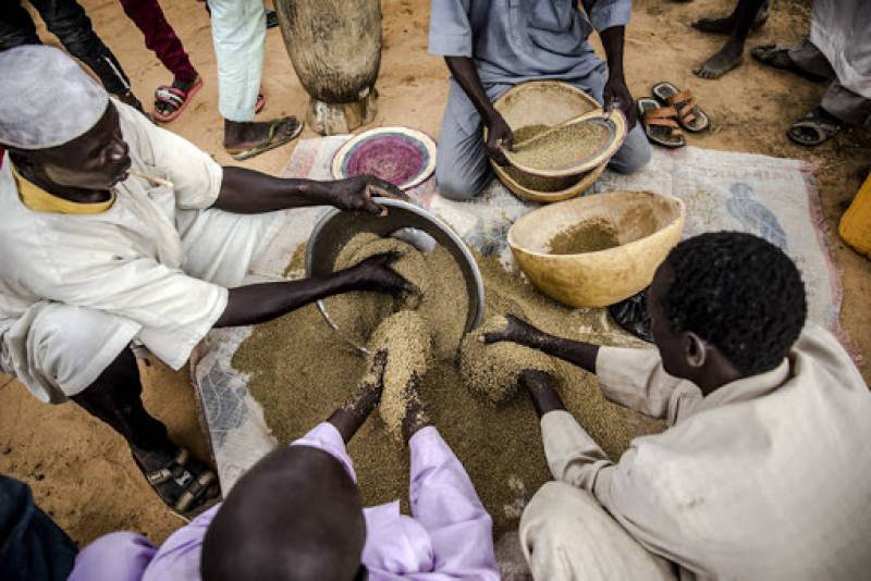 UN: Burkina Faso, Nigeria, South Sudan and Yemen face acute hunger, famine