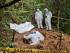 Mass grave of victims ‘killed in violent exorcism’ linked to religious cult in Panama