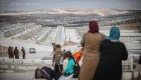 Assad regime evicts 30 families from southern Syrian province