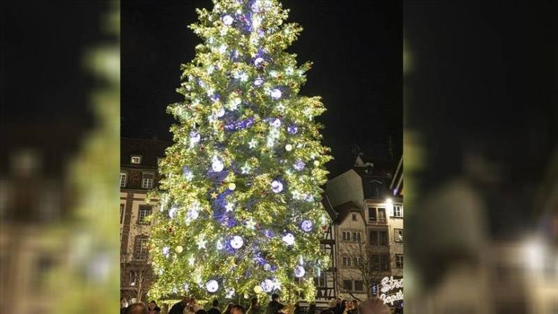 Saudi Arabia denies importing Christmas trees