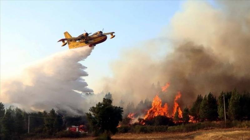 Unusually hot weather fuels wave of forest fires in northern Spain