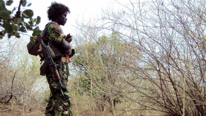 Local militia blamed for killing dozens in Ethiopia's Oromia region