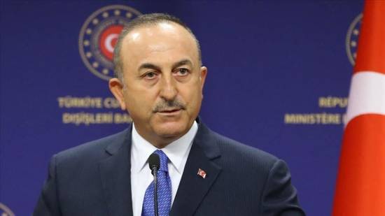 Turkish FM criticizes Austrian PM&#039;s remarks on Erdogan