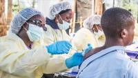 EU officially recognizes Togo&#039;s COVID-19 digital vaccination certificate