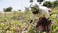 How community radio fights climate change in Tanzania