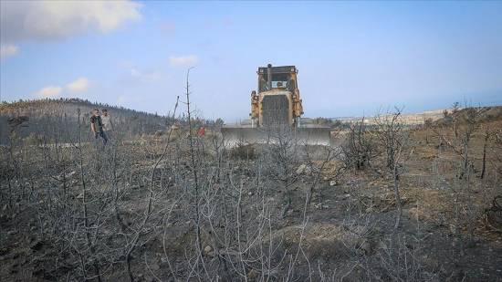 English football club gives saplings to Turkish forests