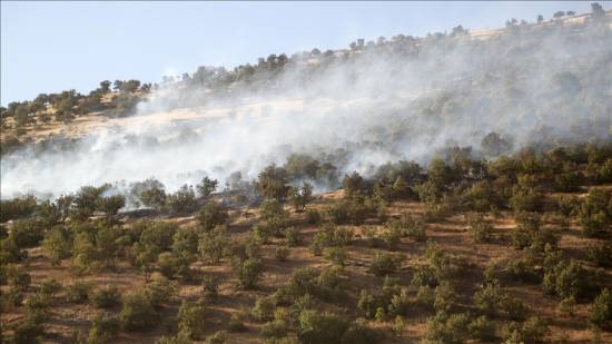 3 killed in forest fire in Iran