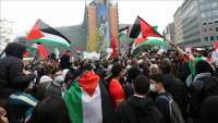 Hundreds in Brussels protest [Israel&#039;s] attacks on Palestine