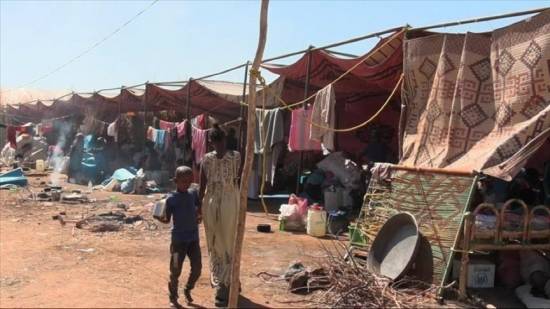 UNHCR appeals for $59.6M for refugees, displaced people in Chad, Cameroon