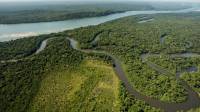 Deforestation in Brazil’s Amazon hits record for January