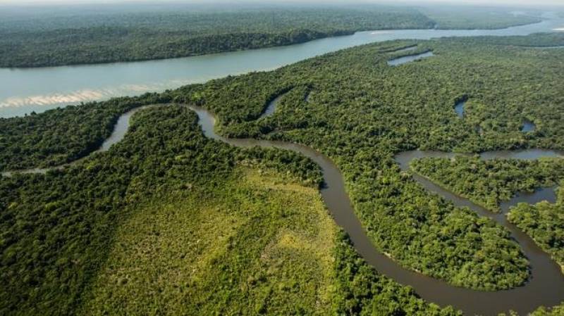 Deforestation in Brazil’s Amazon hits record for January