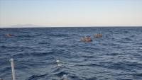 Turkey rescues 526 asylum seekers pushed back by Greece