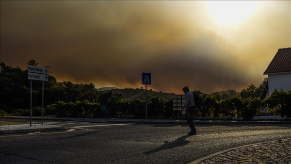 Wildfires devastate 7,000 hectares over weekend in central Portugal