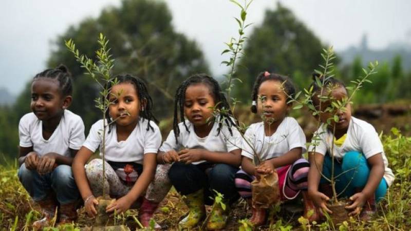 Ethiopia to plant 6B trees in new phase of nationwide drive