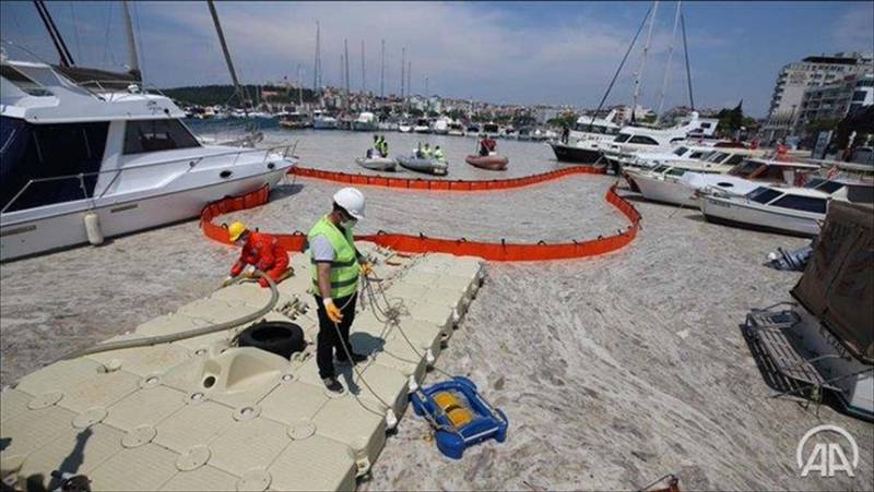 Mucilage from Turkey's Sea of Marmara not hazardous or toxic: Minister