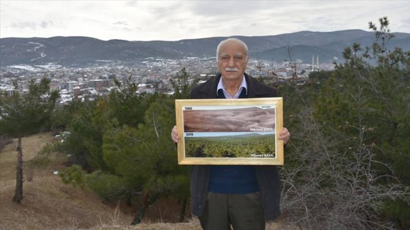 Former forest management official in Turkiye plants 30M saplings in 25 years