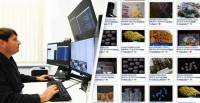 150 people arrested in US-Europe darknet drug probe