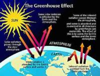 What is the greenhouse effect and how does it lead to global warming?