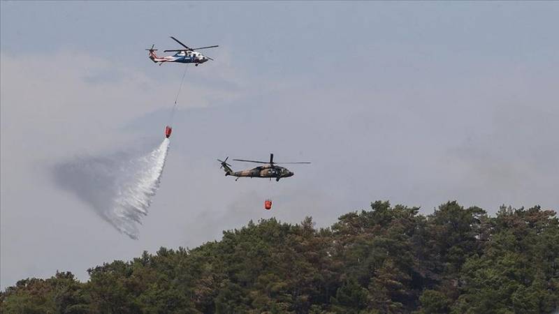 Wildfire in Türkiye’s Marmaris brought under control: Minister