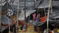 British people deeply concerned about Rohingya crisis: U.K. MPs