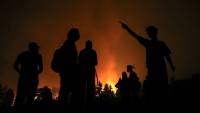 Blazes spread to 36 points in 18 provinces  in Algeria