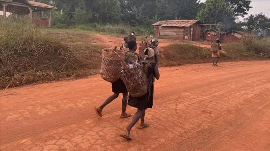 Cameroonian Pygmies uprooted from forests they lived in for 5,000 years