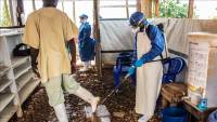 5 Ebola cases, 3 deaths confirmed in new DR Congo outbreak: WHO