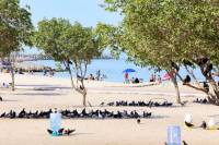 Kuwait plans beach cameras to expose vandalists