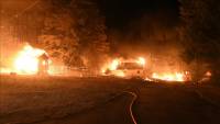 Wildfires ravaging forestlands in many parts of world