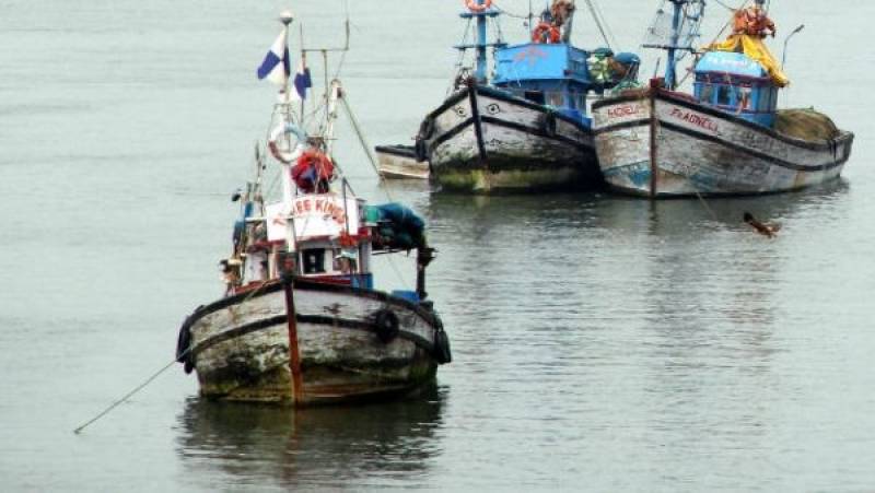India: Gujarat’s Muslim fishermen seek mass euthanasia