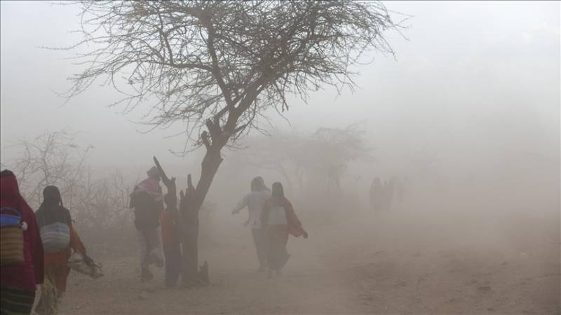 Somalia’s climate crisis caused by industrialized nations: Presidency
