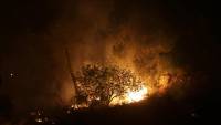 Forest fires hit southern France