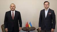 Ankara welcomes progress on humanitarian corridors, Turkiye tells Ukraine