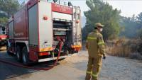 Forest fire erupts in NE of Attica region, Greece