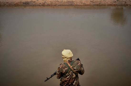 Russia blocks UN call for inquiry into alleged Mali massacre