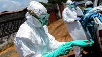 No evidence of Ebola virus in Ivory Coast: WHO