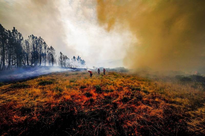 Heatwave in Spain, Portugal claims at least 322 lives