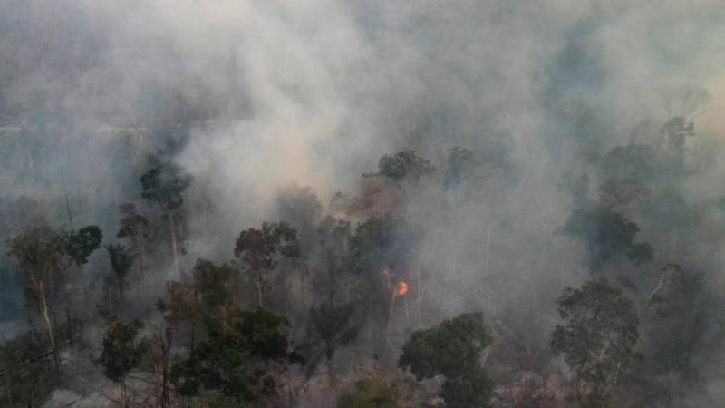 Wildfires in Brazil&#039;s Amazon hit nearly 15-year high