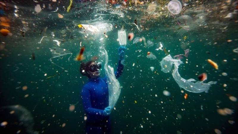 Global plastic waste on track to triple by 2060: Report