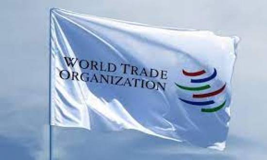 Prospects for quick recovery in word trade improve: WTO