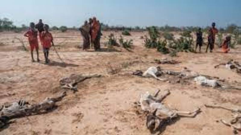 UN Agencies: Severe Hunger Sliding Toward Famine in Horn of Africa