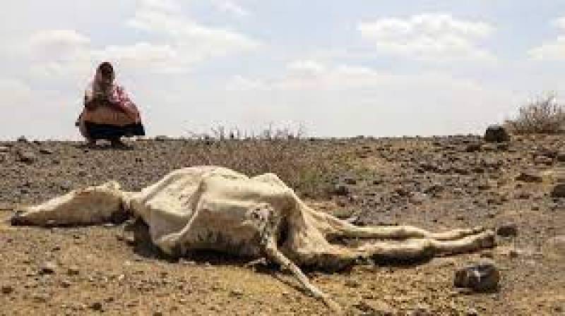 Millions in East Africa face starvation due to drought