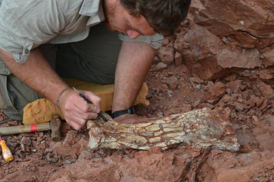 Huge prehistoric &#039;Dragon of Death&#039; fossil found in Argentina