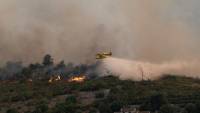 Casualties as forest fires burn in Spain, Portugal, Morocco