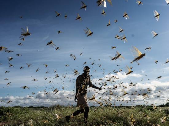 South Sudanese face hunger, disease after months of armed clashes, floods, says Red Cross