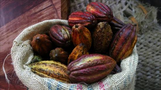 Sweet chocolate, a faraway fantasy for Tanzania’s cocoa farmers